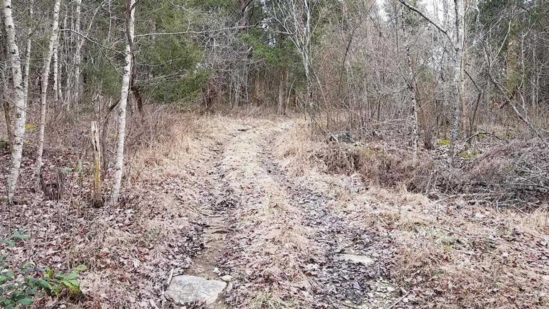 1115 Clinch Valley Road Eidson, TN 37731 - Photo 2 of 36 2