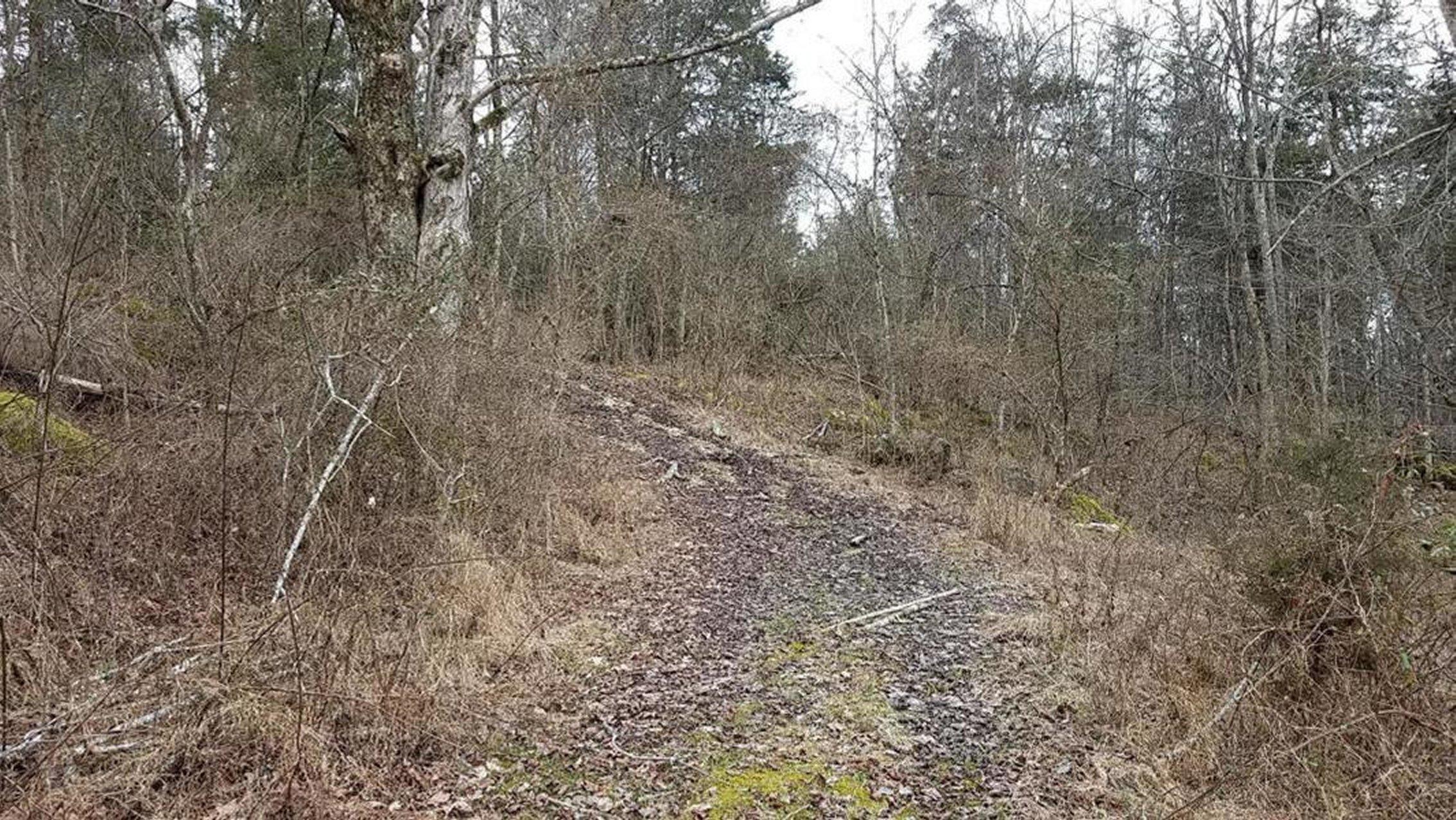 1115 Clinch Valley Road Eidson, TN 37731 - Photo 12 of 36 12