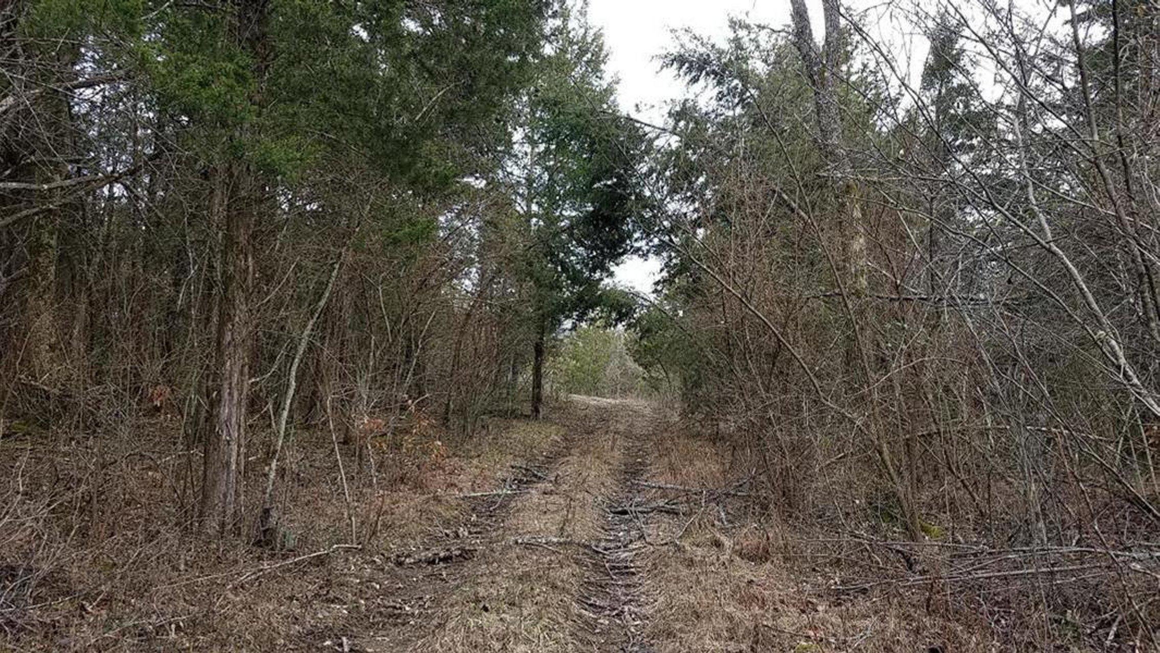 1115 Clinch Valley Road Eidson, TN 37731 - Photo 13 of 36 13
