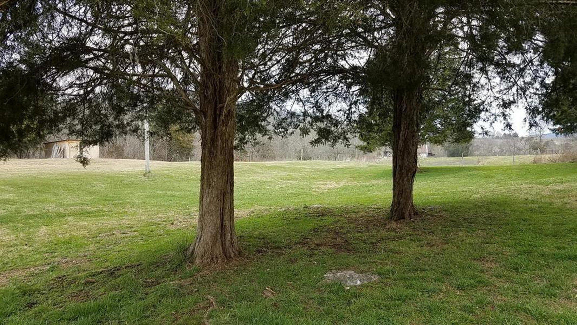 1115 Clinch Valley Road Eidson, TN 37731 - Photo 20 of 36 20