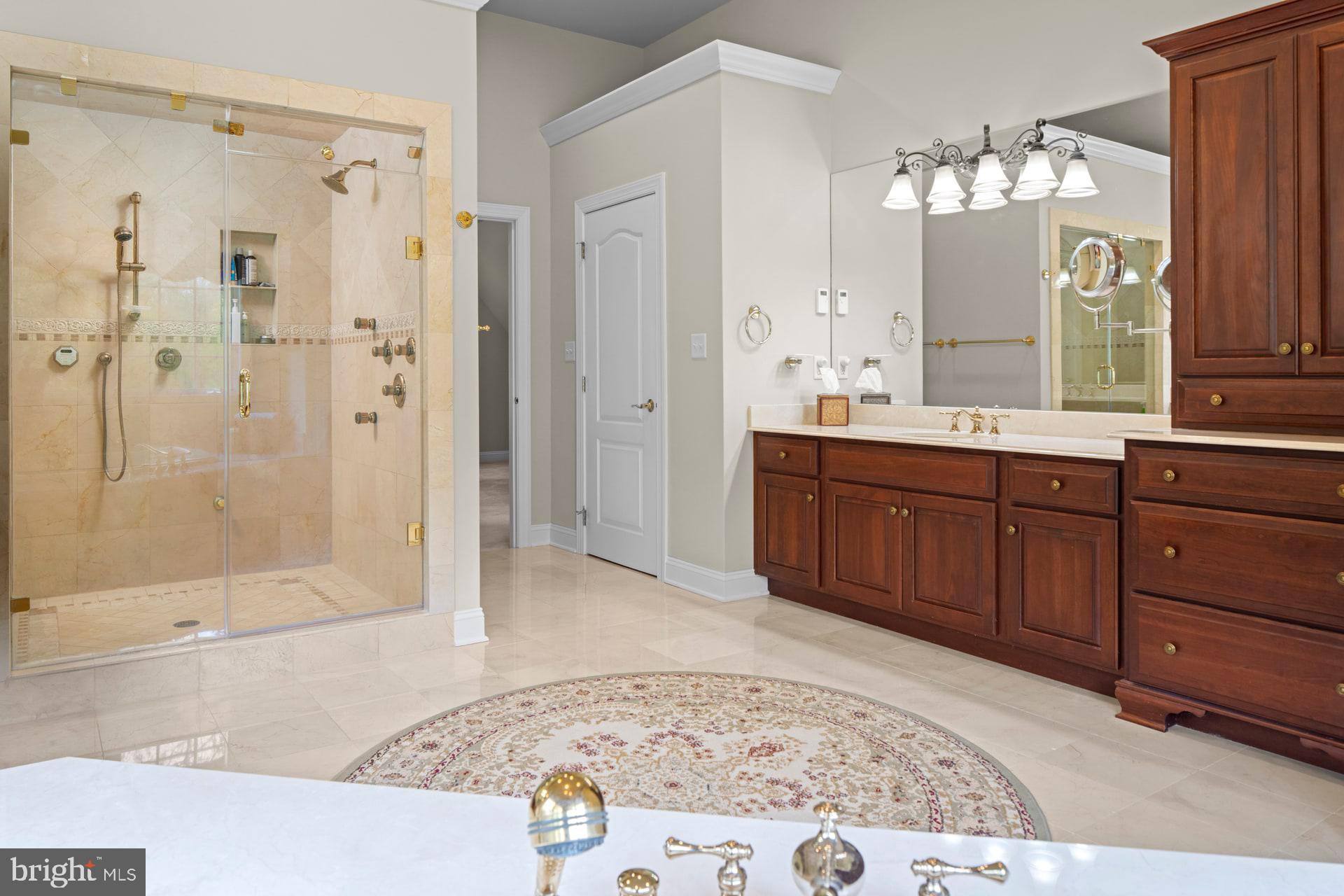 203 Wecks Pond Road New Hope, PA 18938 - Photo 31 of 68 Primary Shower & Dual Vanities
