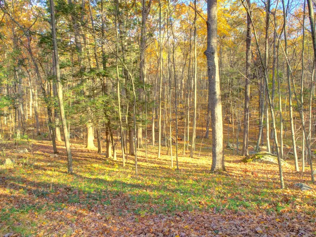 a view of a swimming pool