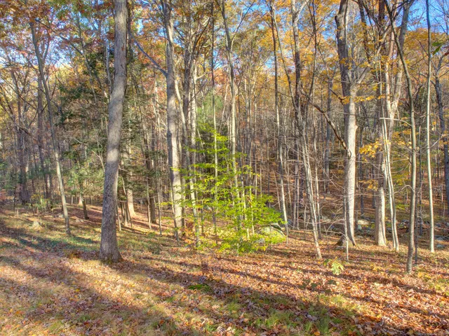 a view of a brick house with a large trees