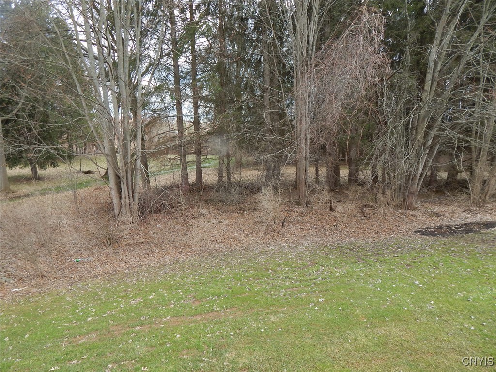 8176 Whitman Way Clay, NY 13090 - Photo 34 of 37