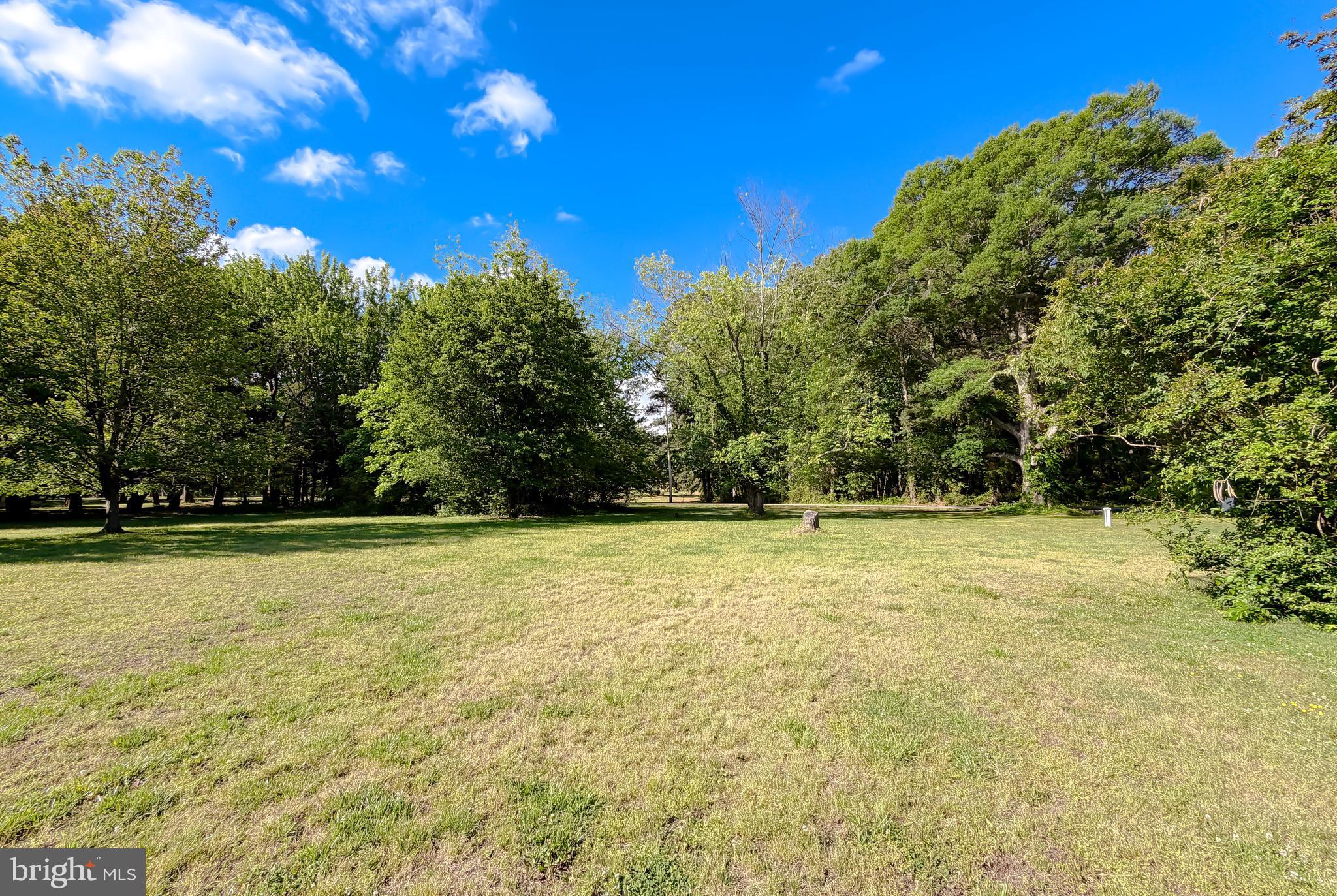 16146 Thomas Road Piney Point, MD 20674 - Photo 57 of 57 a view of a yard with a trees