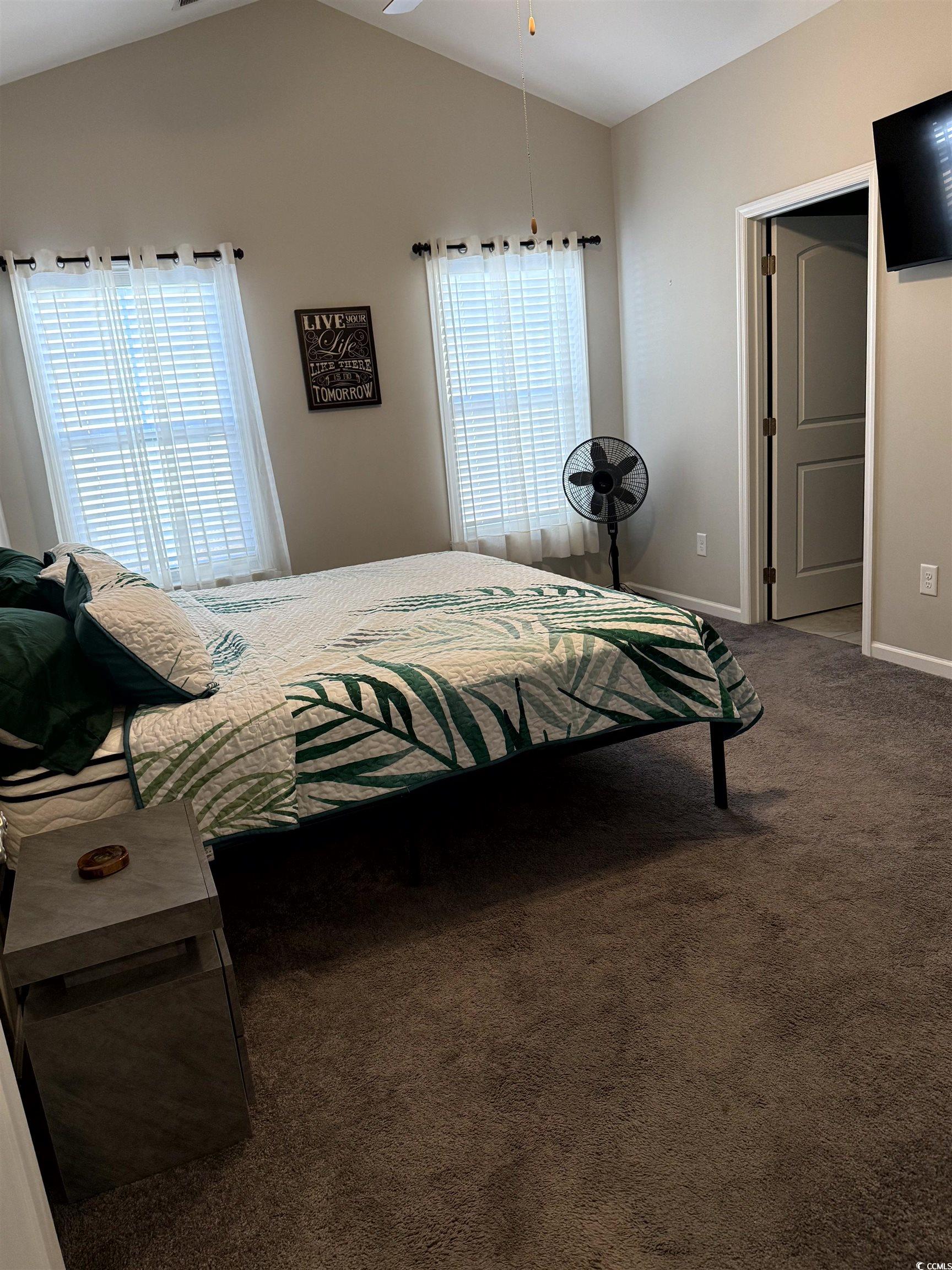 257 Maiden's Choice Drive Conway, SC 29527 - Photo 19 of 29 Bedroom featuring carpet flooring, multiple windows, and lofted ceiling