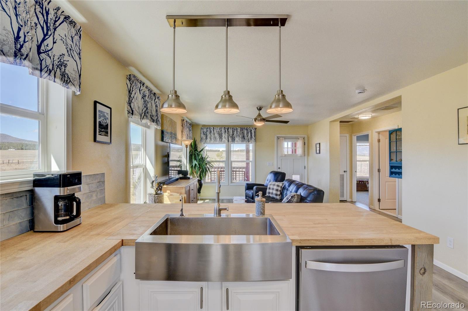 261 Bridle Path Hartsel, CO 80449 - Photo 28 of 48