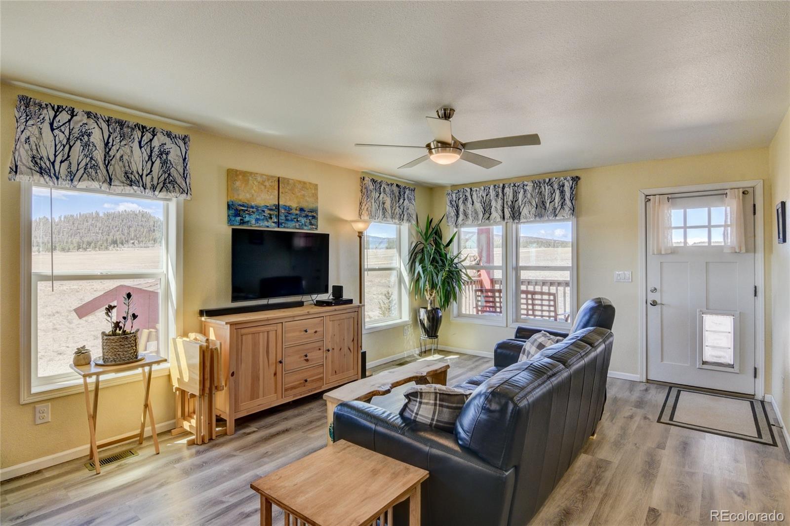 261 Bridle Path Hartsel, CO 80449 - Photo 29 of 48