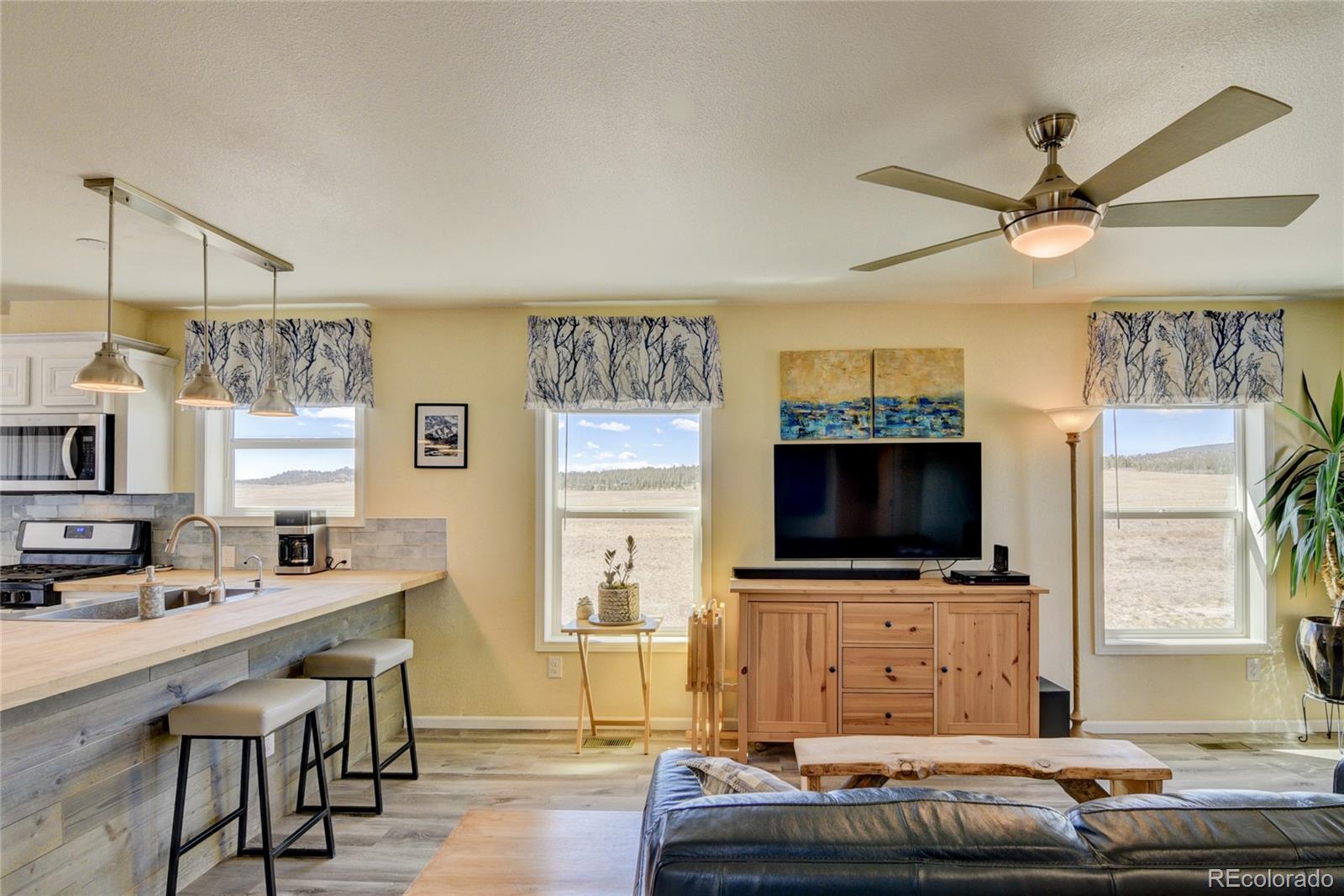 261 Bridle Path Hartsel, CO 80449 - Photo 31 of 48