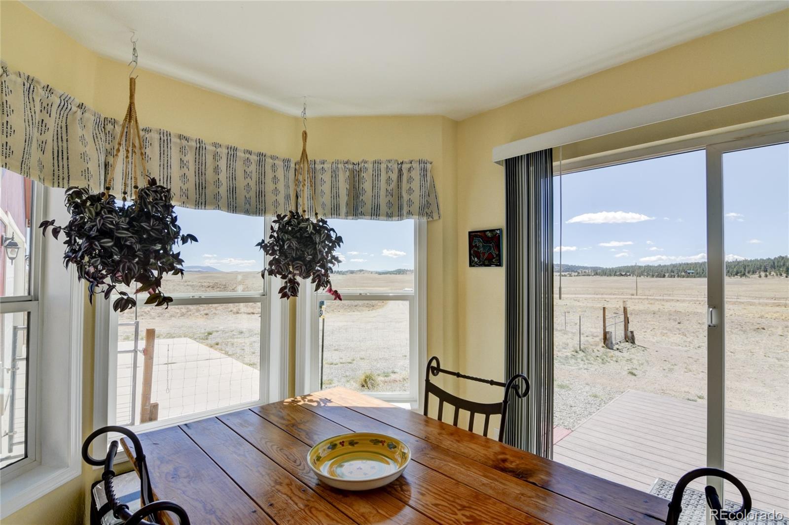 261 Bridle Path Hartsel, CO 80449 - Photo 33 of 48