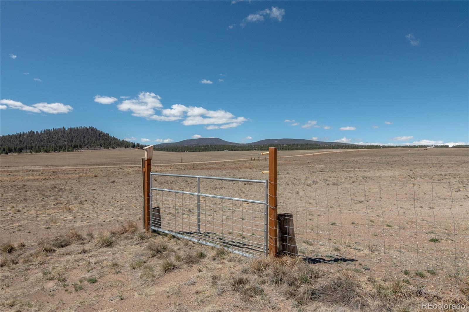 261 Bridle Path Hartsel, CO 80449 - Photo 47 of 48