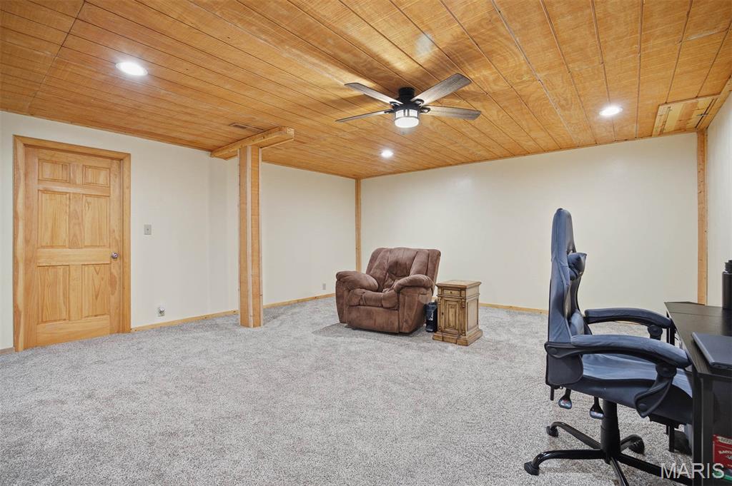 417 Dudleyville Road Greenville, IL 62246 - Photo 30 of 62