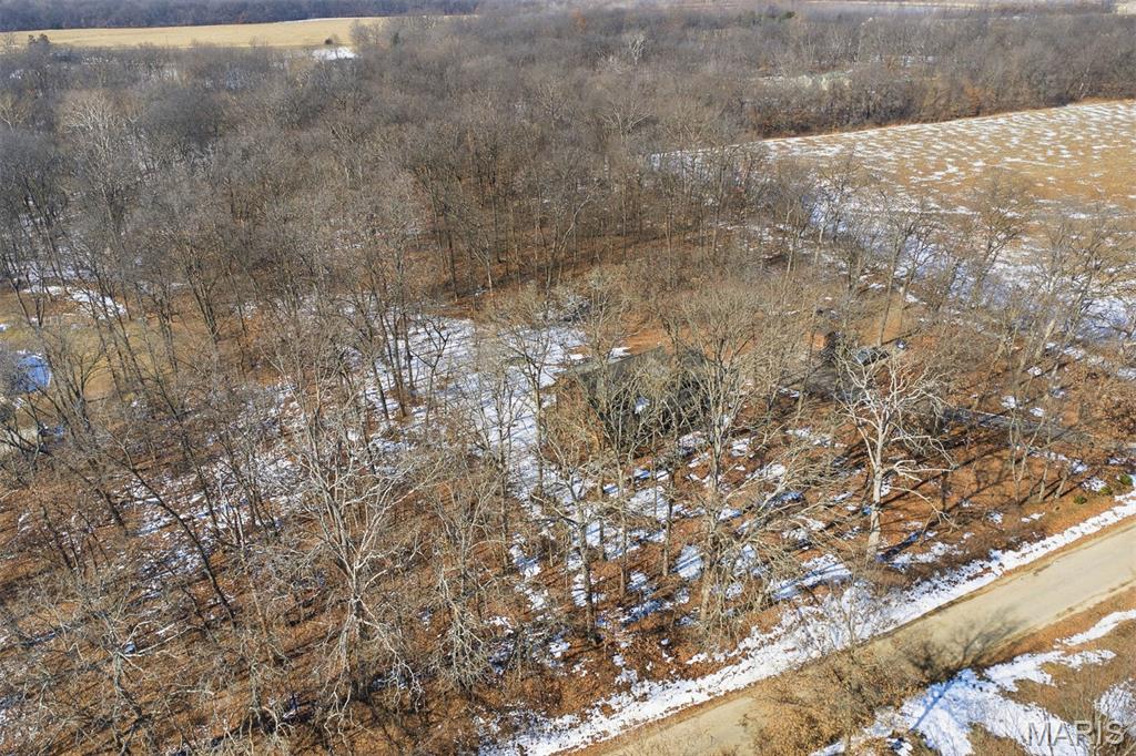 417 Dudleyville Road Greenville, IL 62246 - Photo 51 of 62