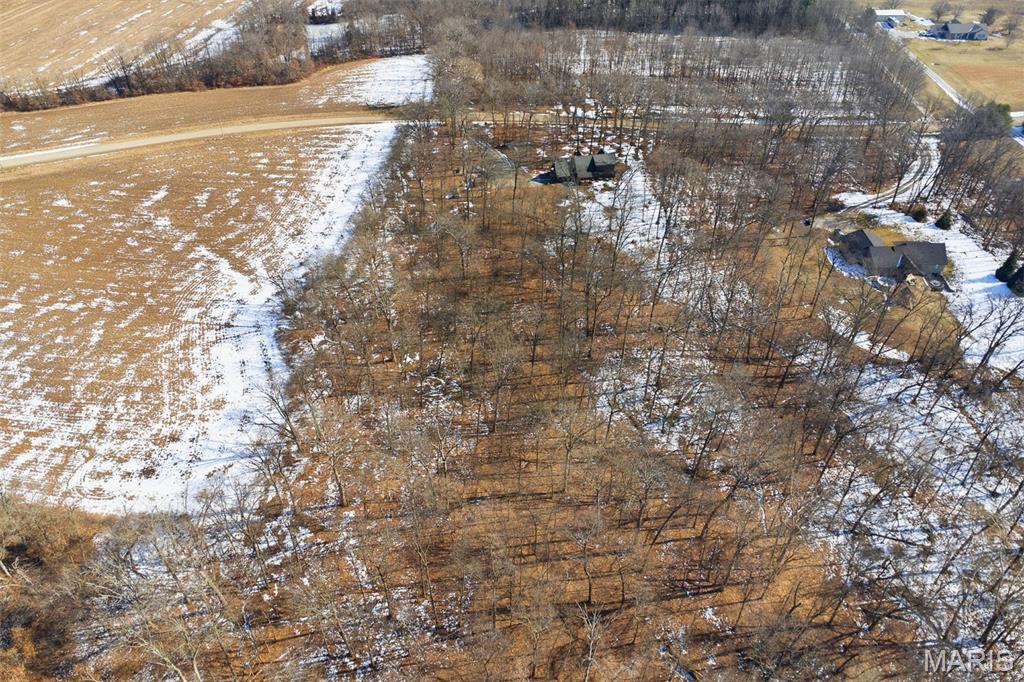 417 Dudleyville Road Greenville, IL 62246 - Photo 53 of 62