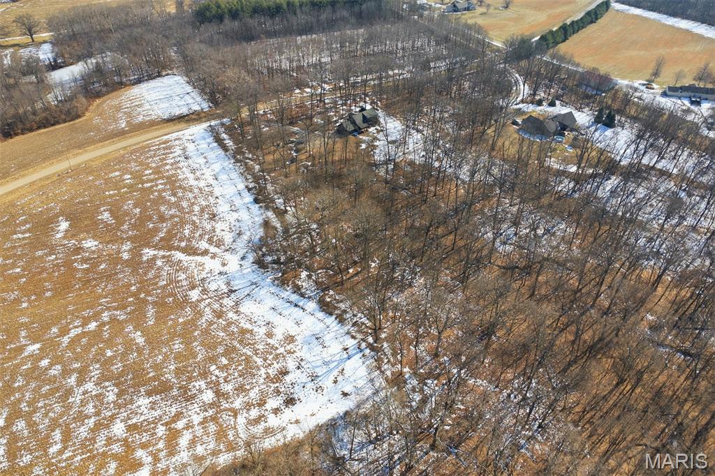 417 Dudleyville Road Greenville, IL 62246 - Photo 54 of 62