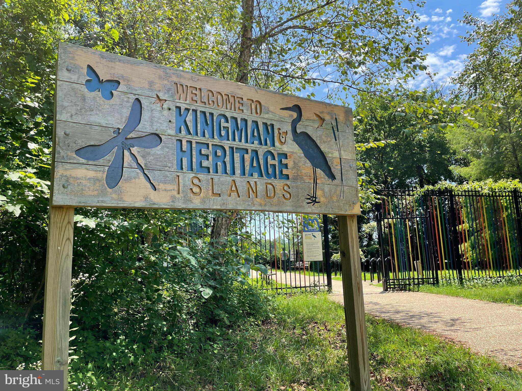 2000 D Street Northeast, Unit 6 Washington, DC 20002 - Photo 27 of 30 a view of a house with a yard and plants