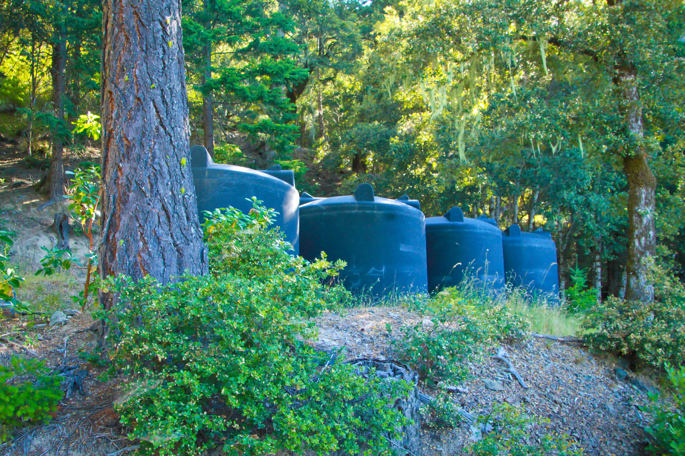 2292 Titlow Hill Road Blue Lake, CA 95525 - Photo 9 of 79
