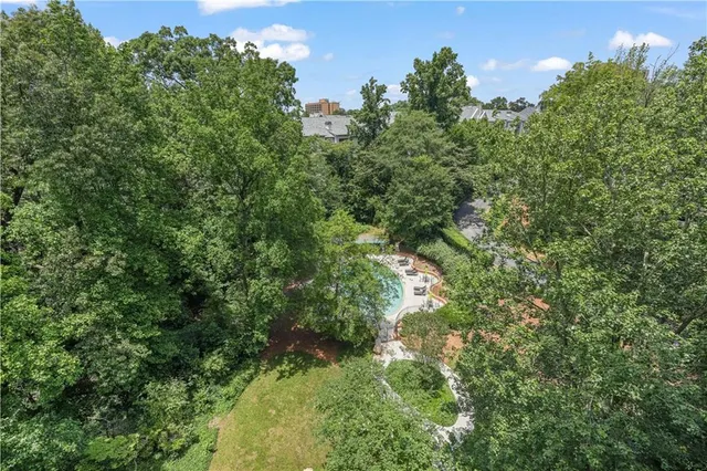 a view of a lush green forest