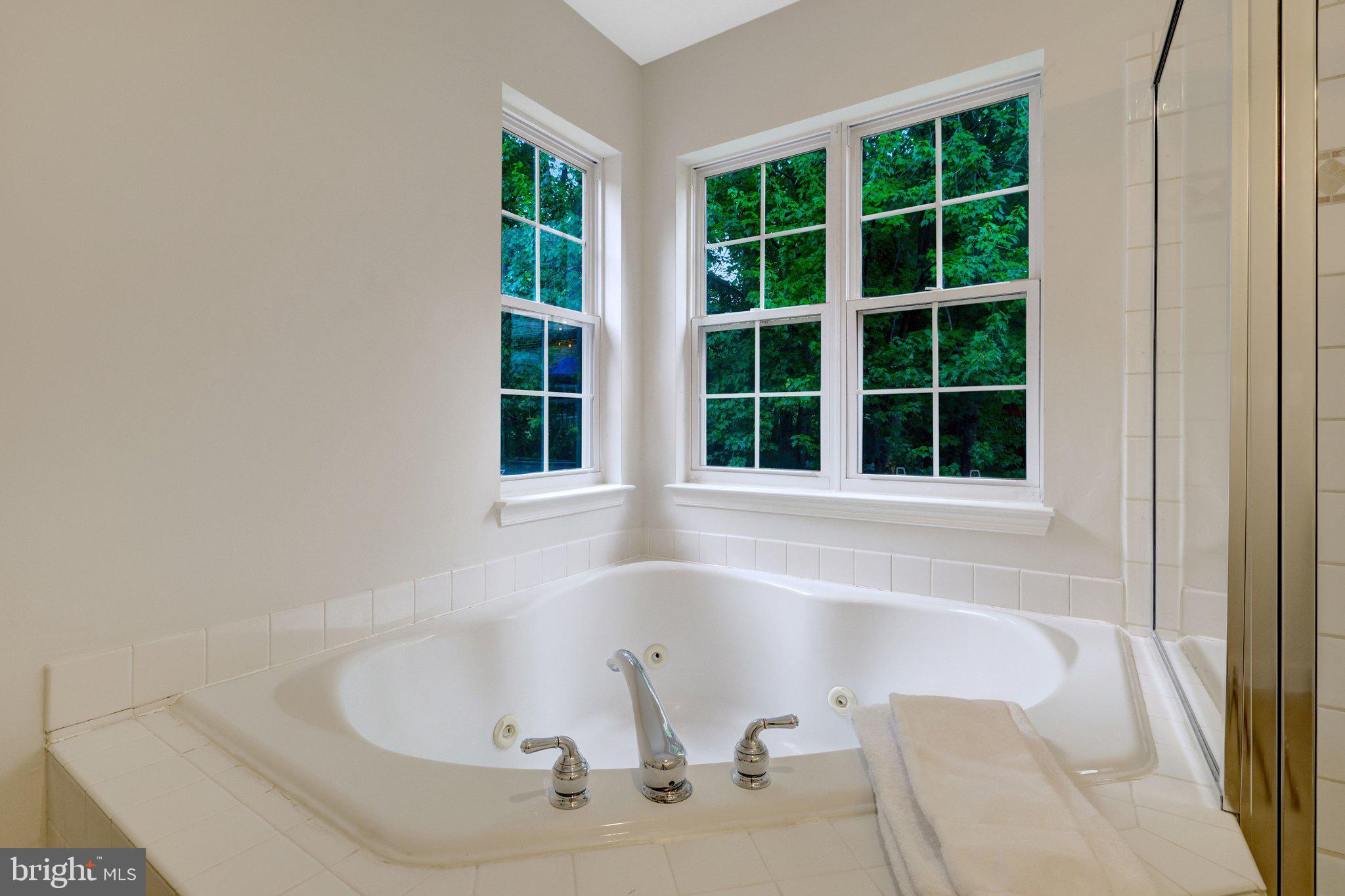 1268 Wild Hawthorn Way Reston, VA 20194 - Photo 30 of 55 Jetted Soaking Tub