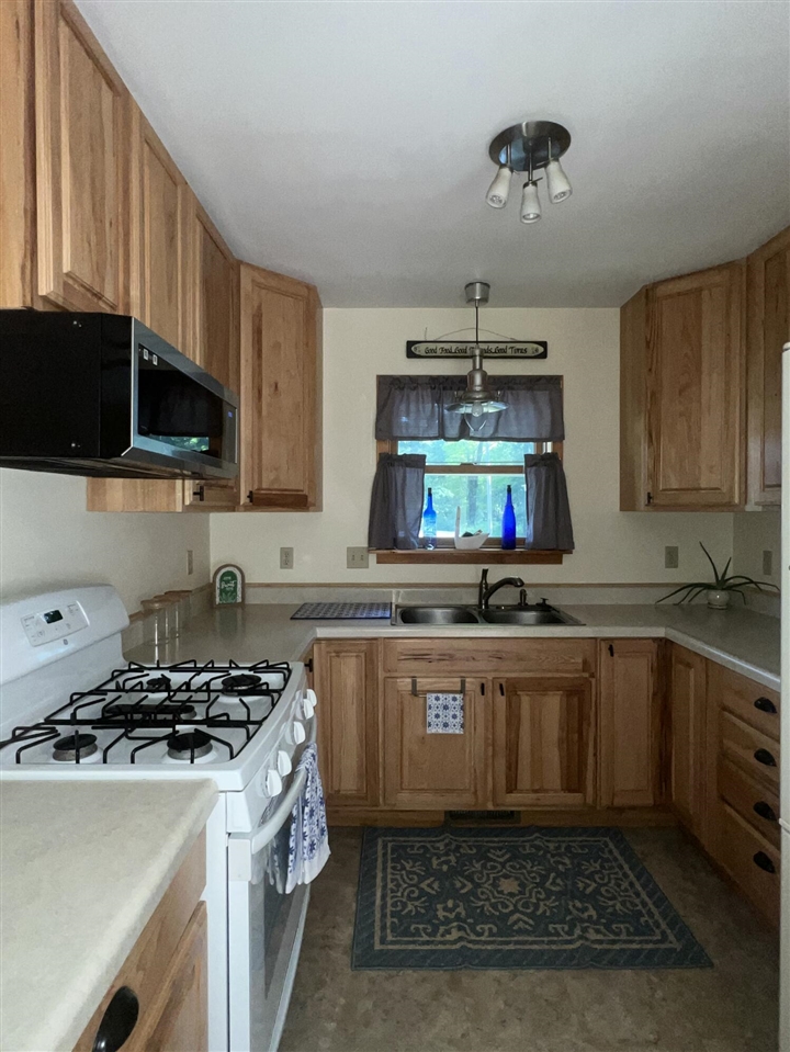 5729 North Bass Lake Road Irons, MI 49644 - Photo 13 of 43