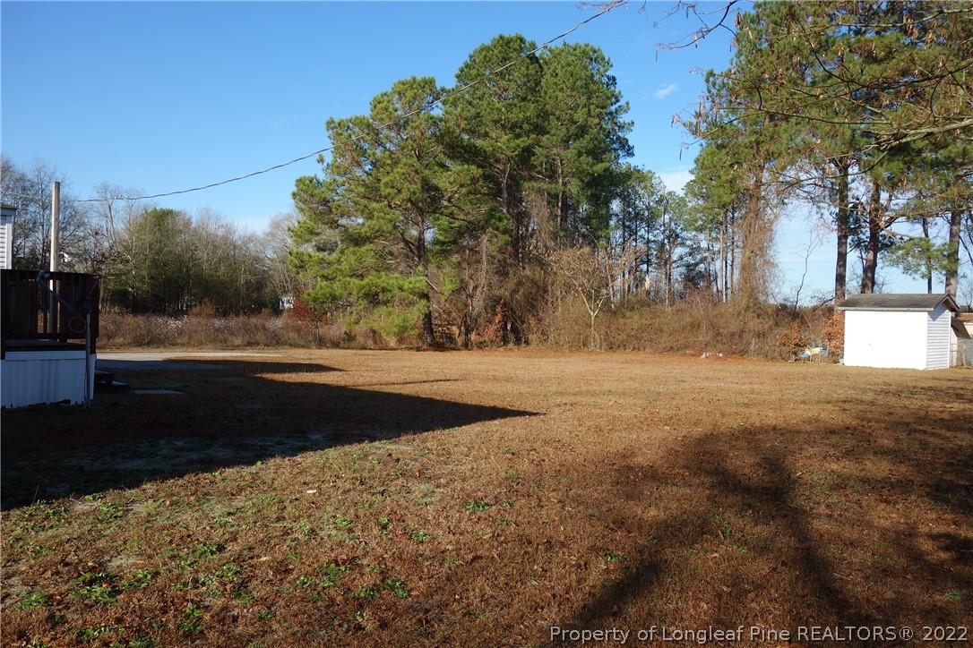 7258 Center Road Bladenboro, NC 28320 - Photo 4 of 7 Gallery Image 4