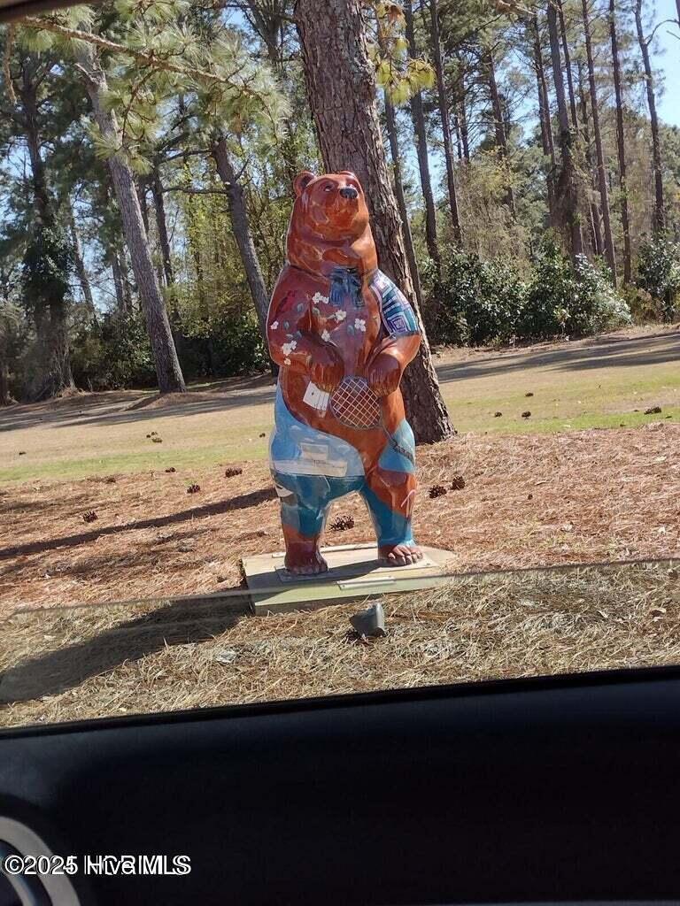 5105 Bucco Reef Road New Bern, NC 28560 - Photo 8 of 8 FFH Bear