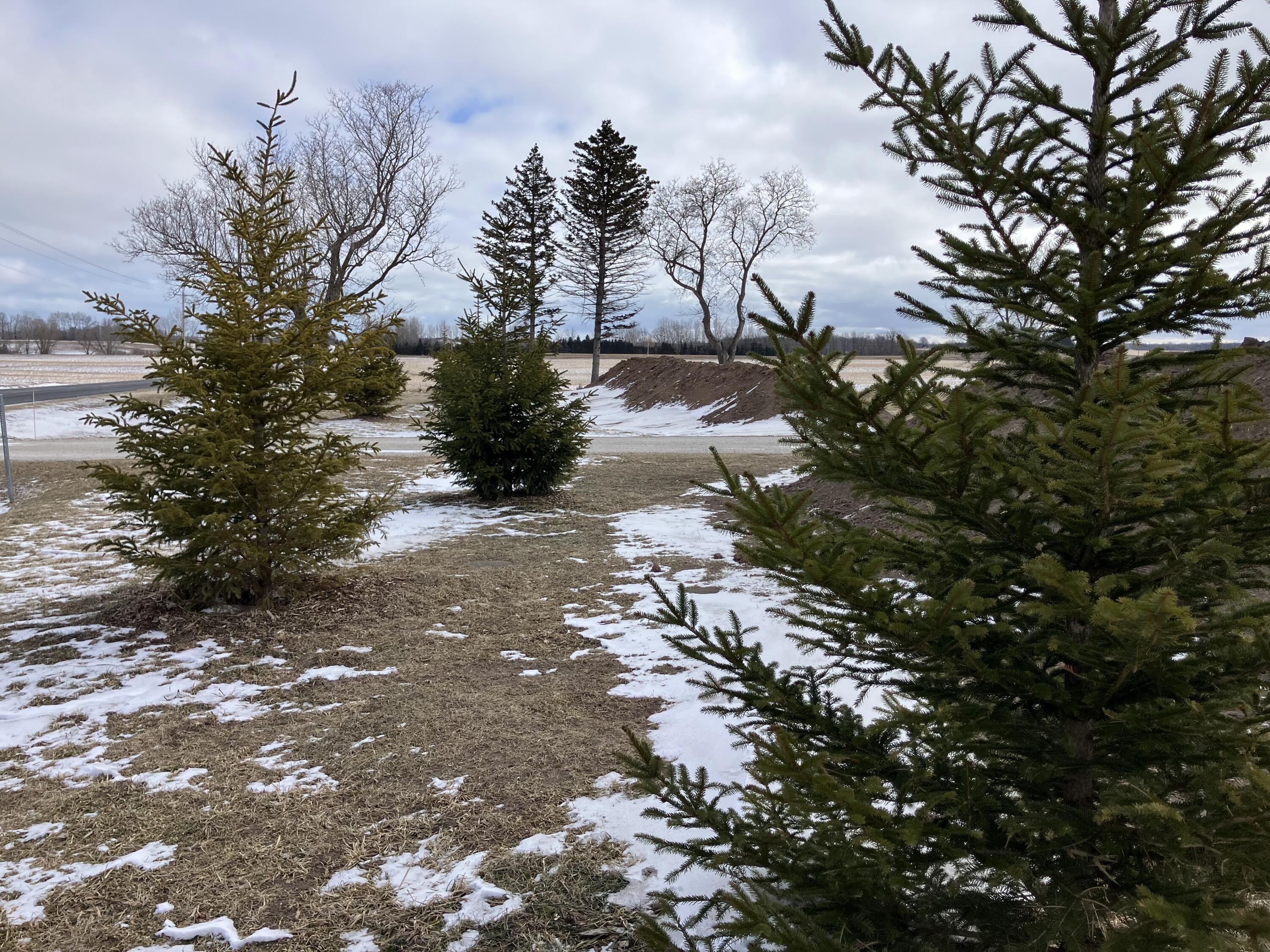 9207 Middle Road Manitowoc Rapids, WI 54220 - Photo 28 of 33 IMG_6839_Original