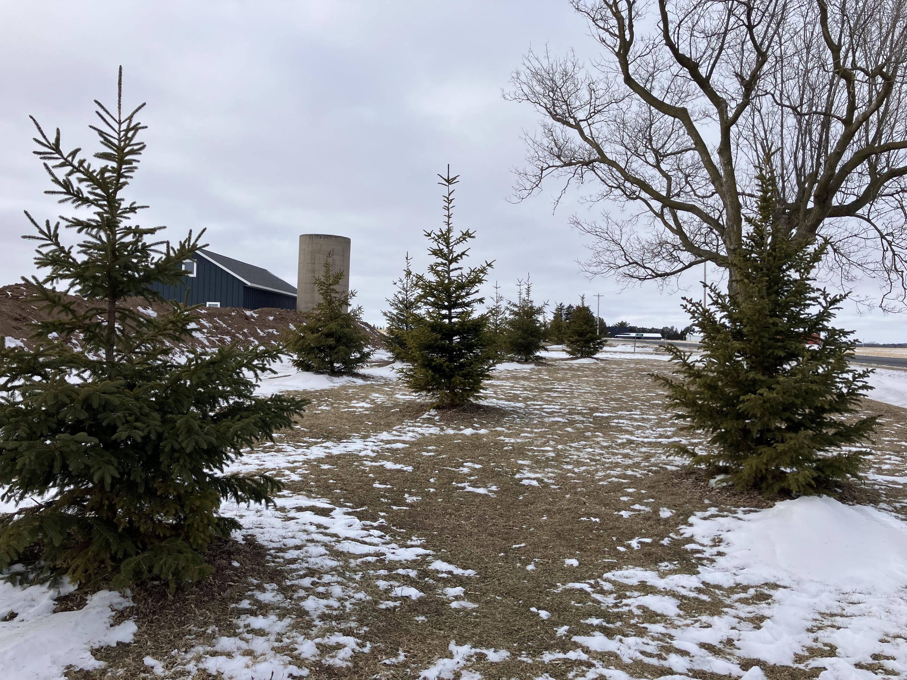 9207 Middle Road Manitowoc Rapids, WI 54220 - Photo 29 of 33 IMG_6838_Original