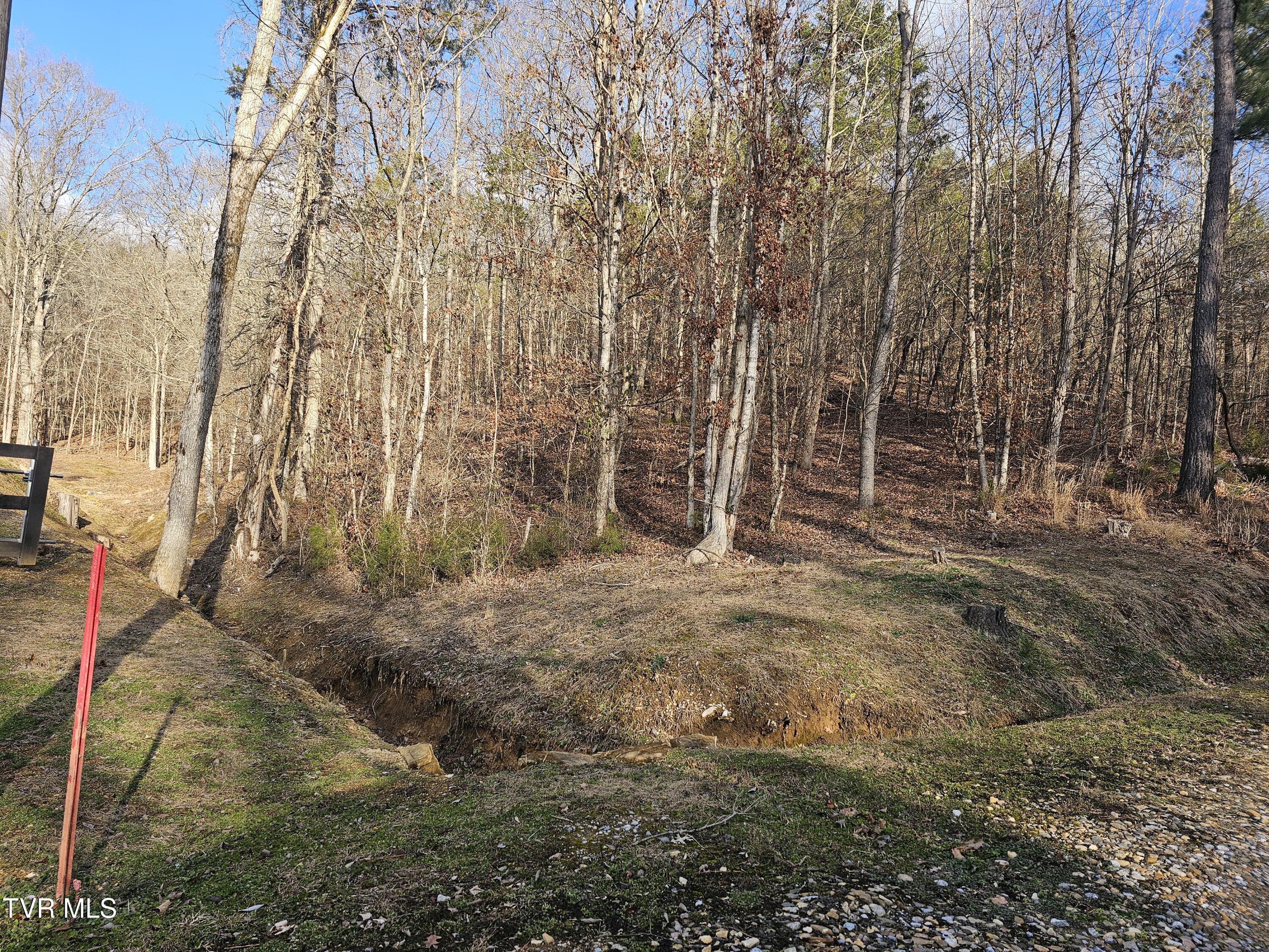 0 Cherrybrook Way Newport, TN 37821 - Photo 1 of 6 20250107_153733