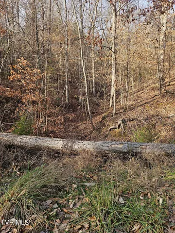 $126,000 | 0 Cherrybrook Way, Newport, TN 37821