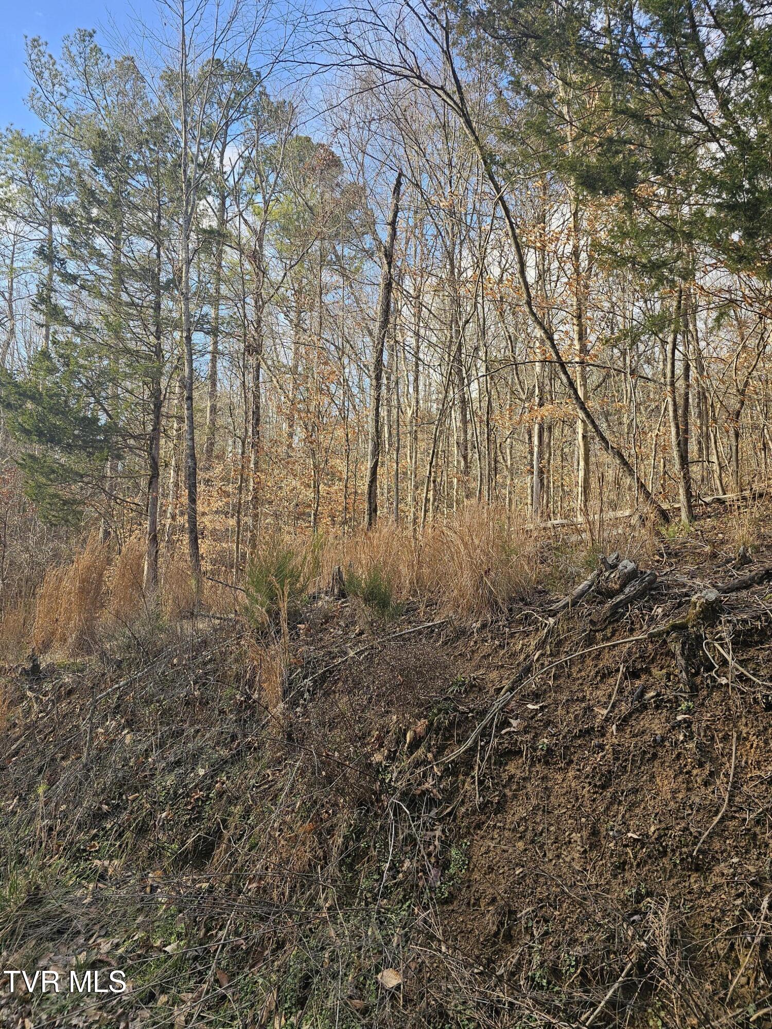 0 Cherrybrook Way Newport, TN 37821 - Photo 5 of 6 20250107_153522