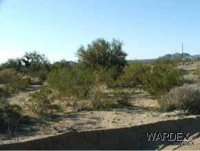 Lot 112 Douglas Road Yucca, AZ 86438 - Photo 1 of 12 Primary Photo