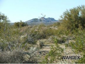 Lot 112 Douglas Road Yucca, AZ 86438 - Photo 4 of 12 Additional Photo