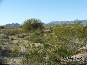 Lot 112 Douglas Road Yucca, AZ 86438 - Photo 5 of 12 Additional Photo