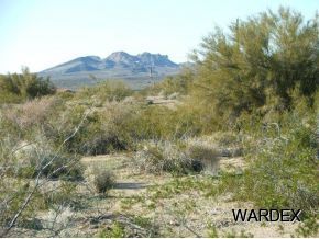 Lot 112 Douglas Road Yucca, AZ 86438 - Photo 7 of 12 Additional Photo