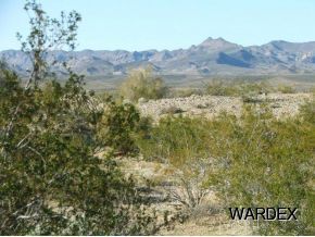 Lot 112 Douglas Road Yucca, AZ 86438 - Photo 8 of 12 Additional Photo