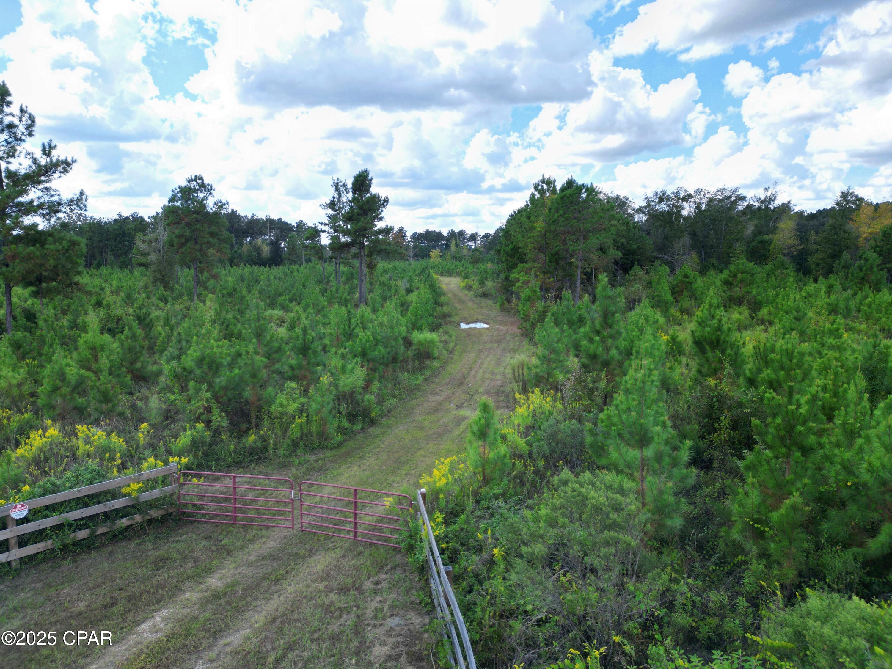 0 River Road Sneads, FL 32460 - Photo 2 of 23