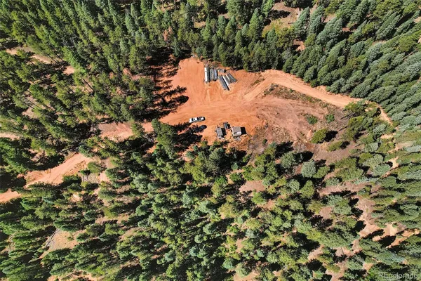 a view of a bunch of trees