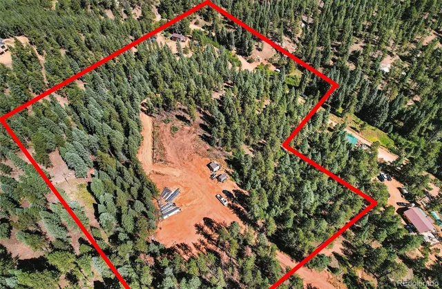 a picture of flowers