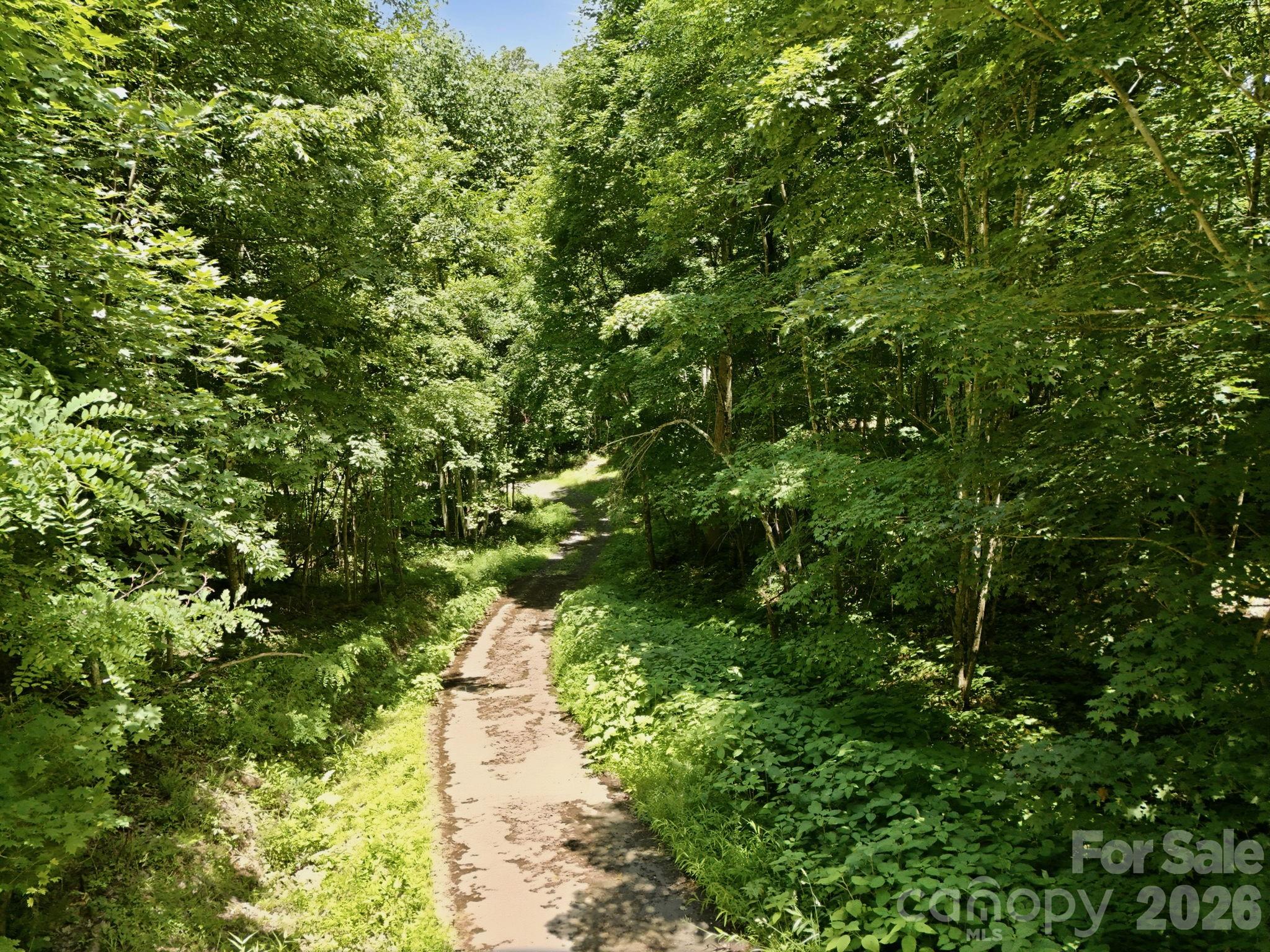 Tbd Windy Gap Road, Unit TRACT B Mars Hill, NC 28754 - Photo 10 of 13