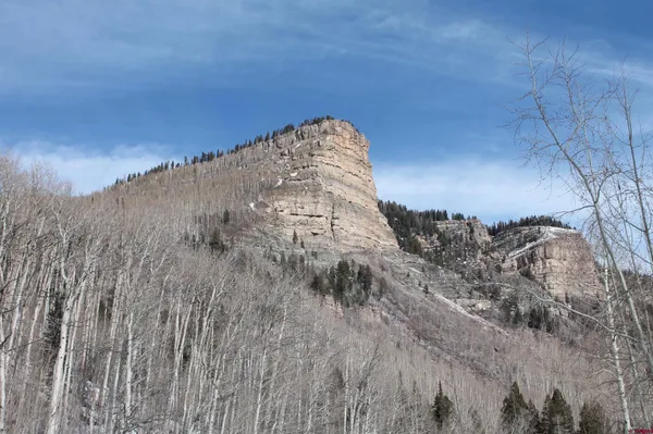 a view of a dry yard