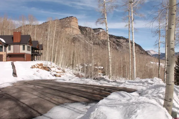 a view of a tree in a field