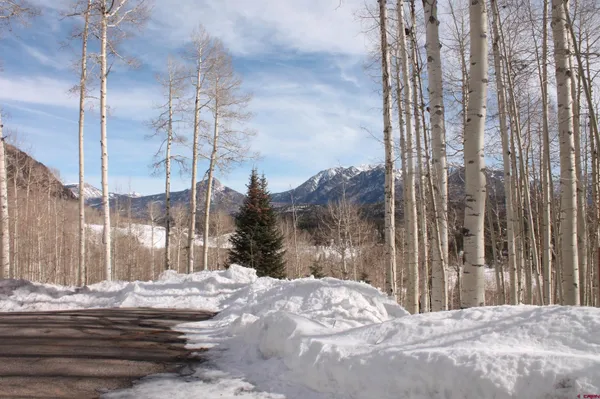 a view of street along with trees