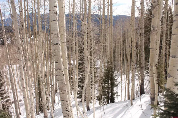 a view of a balcony with trees