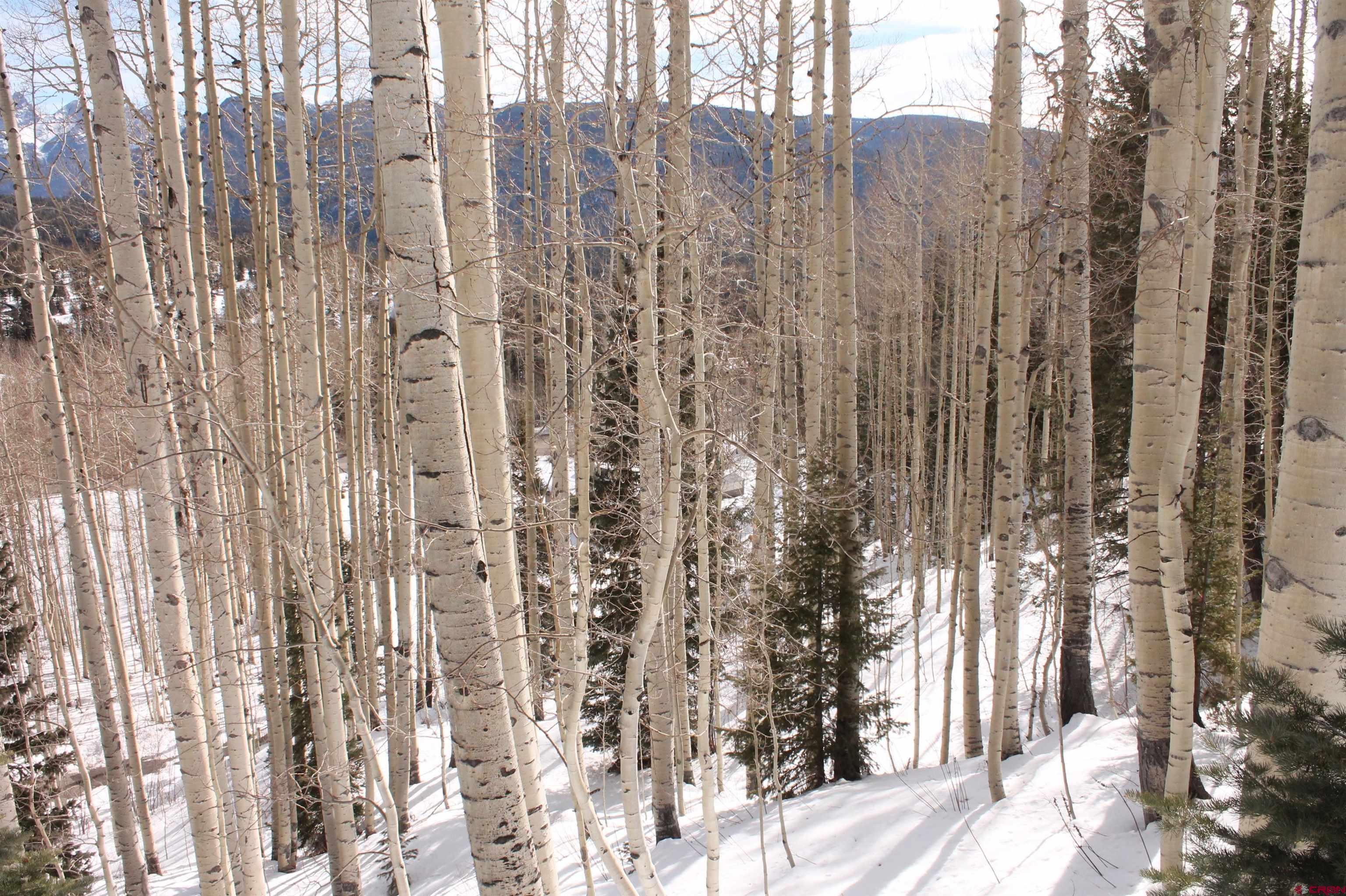 577 Falcon Ridge Road Durango, CO 81301 - Photo 20 of 36 Gallery Image 20