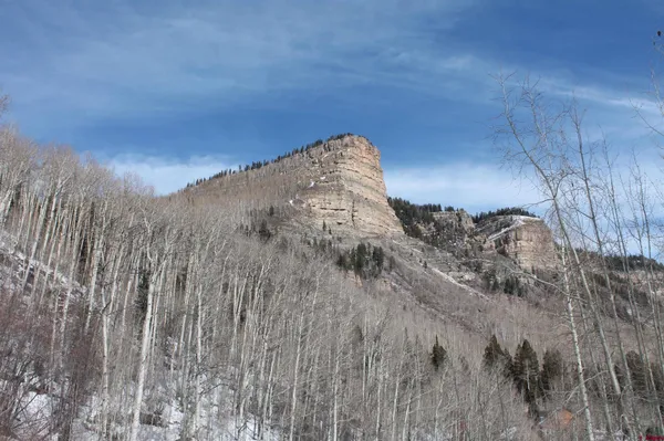 a view of a dry yard