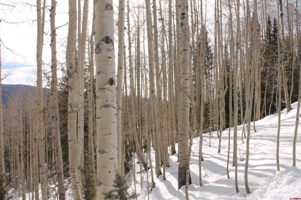 a view of a city from a corridor