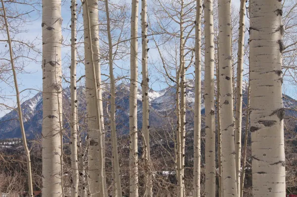 a view of a city from a balcony