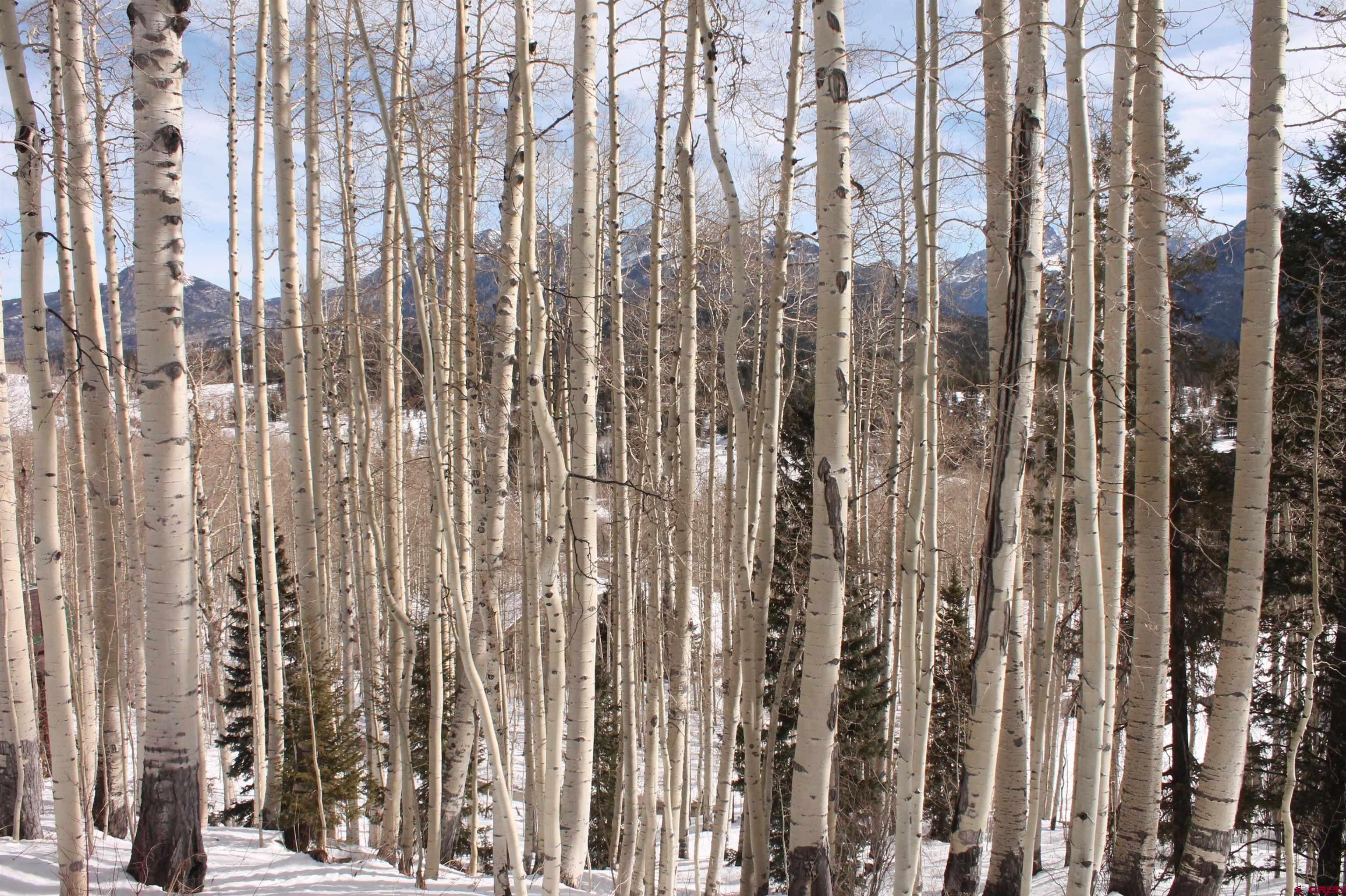 577 Falcon Ridge Road Durango, CO 81301 - Photo 26 of 36 Gallery Image 26