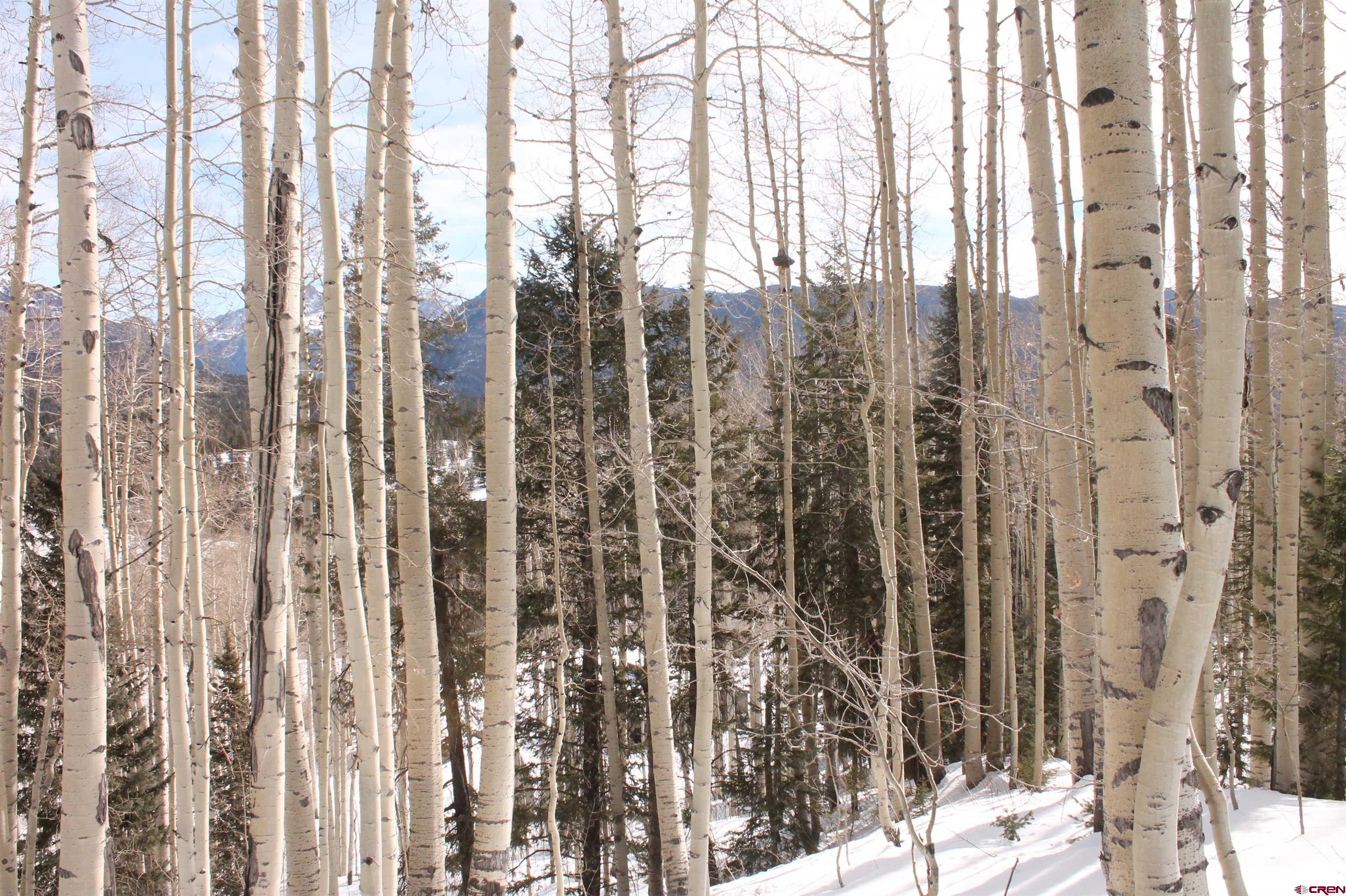 577 Falcon Ridge Road Durango, CO 81301 - Photo 30 of 36 Gallery Image 30